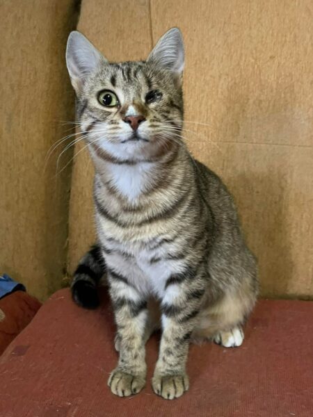 ♡Mayla♡ – Reserviert