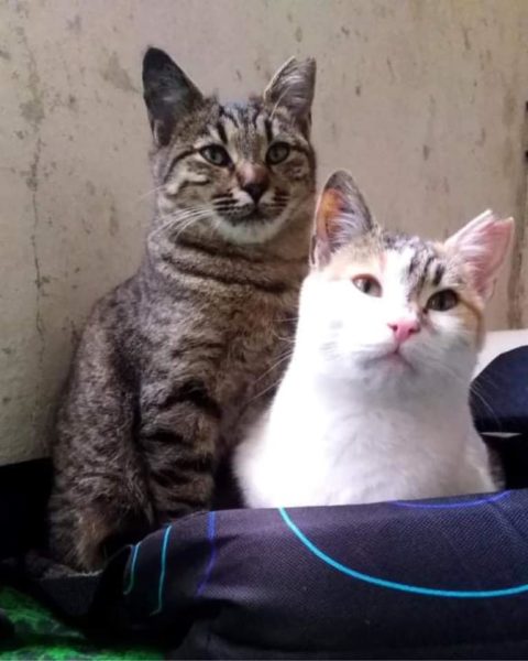 ♡Naomi&Zeina♡