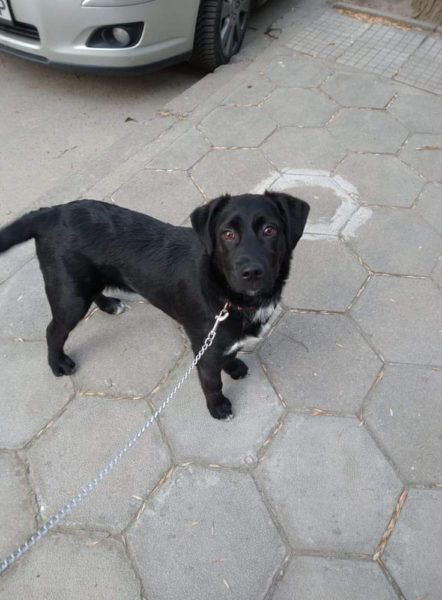 ♡Orion♡ – Reserviert –