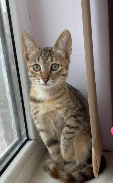 ♡Tessa♡