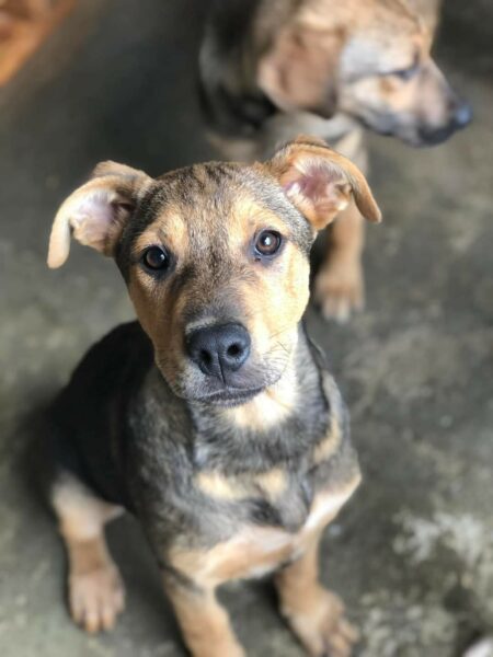 ♡Pablo♡