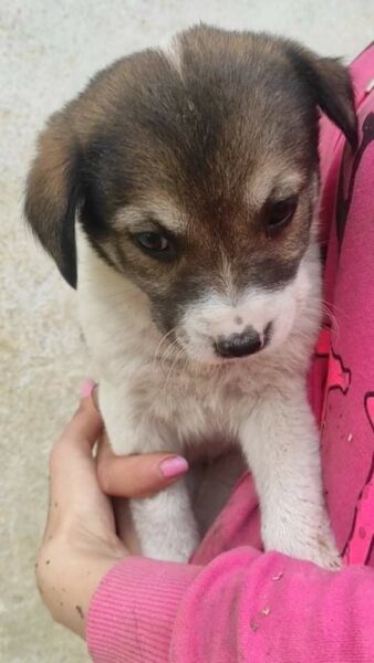 ♡Daisy♡