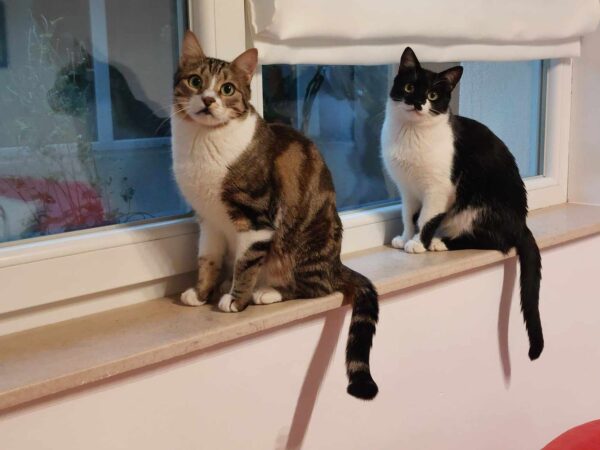 Mark & Lucas – Reserviert