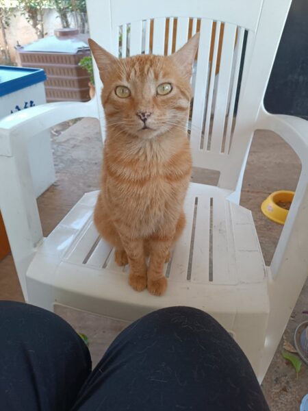 Gus